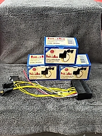 SAYDIRMALI ARAP KORNA BEYNİ