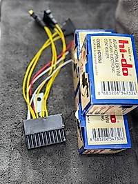 SAYDIRMALI ARAP KORNA BEYNİ